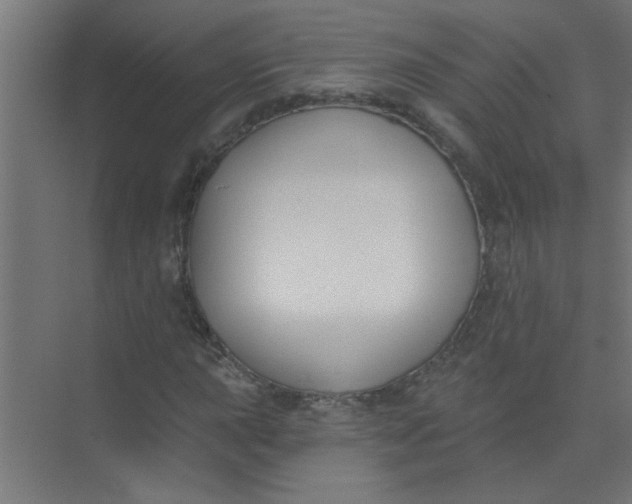 X0000073971015200609051839