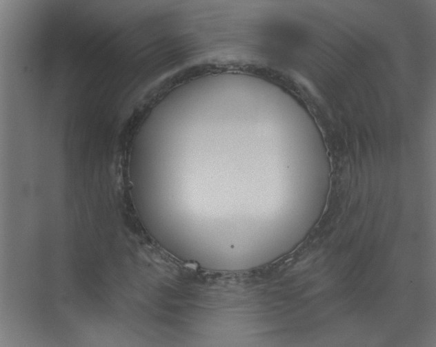 X0000073971016200609051839