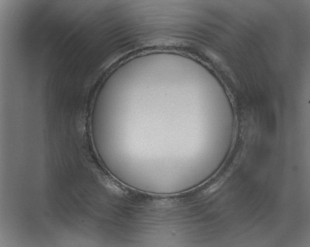 X0000073971017200609051839