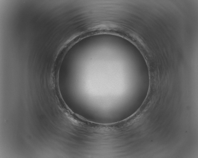 X0000073971018200609051840