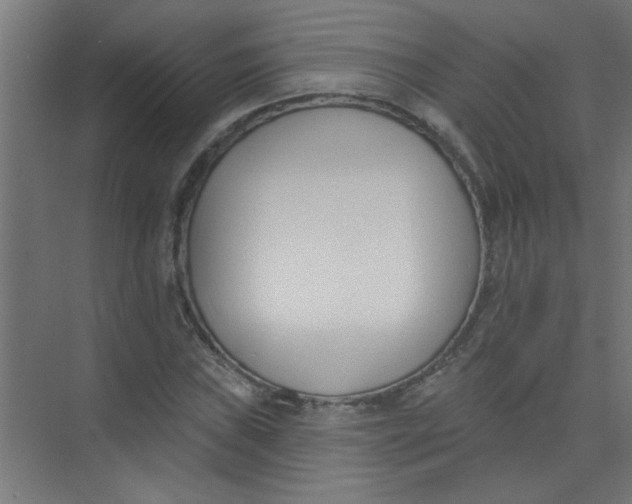 X0000073971019200609051840