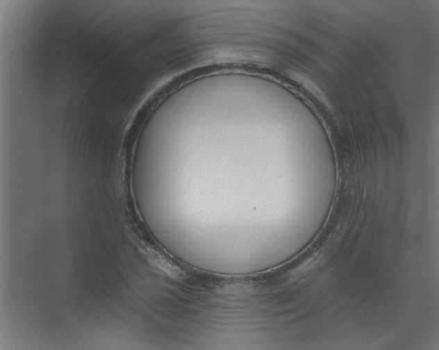 X0000073971021200609051840