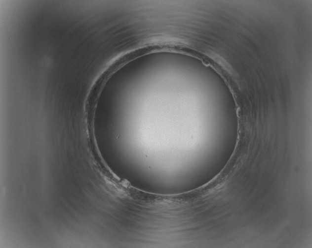 X0000073971022200609051840