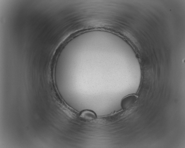 X0000073971023200609051840