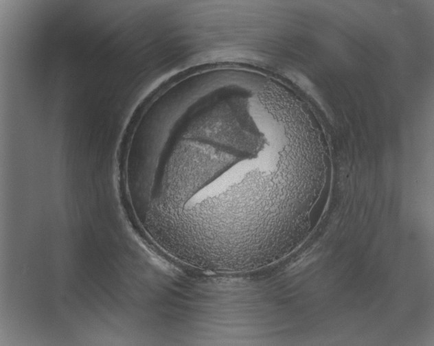 X0000073971024200609051840