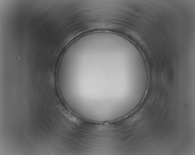 X0000073971025200609051840