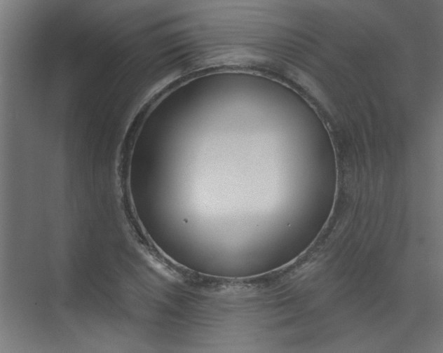 X0000073971026200609051840