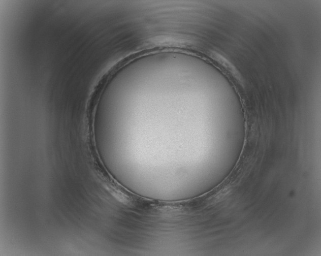 X0000073971027200609051840