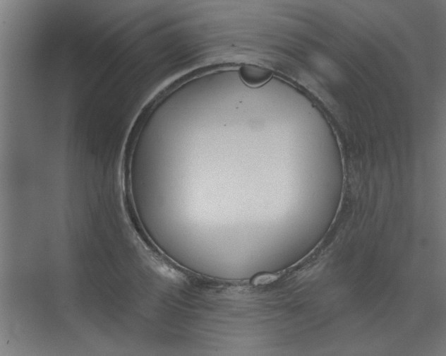 X0000073971028200609051840