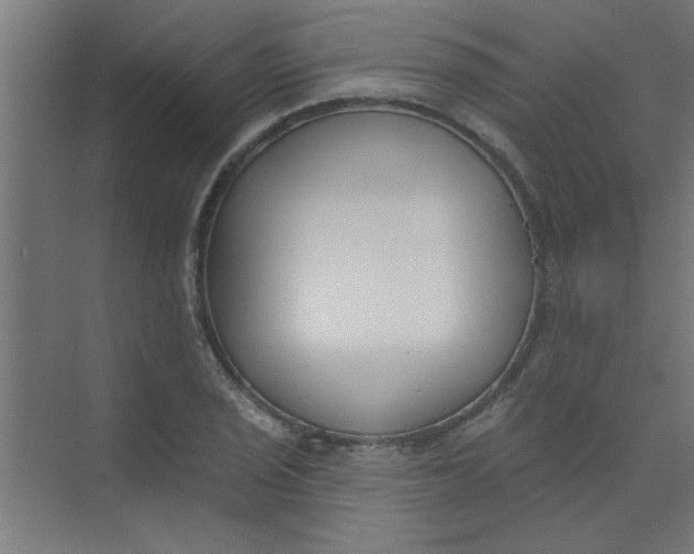 X0000073971029200609051840