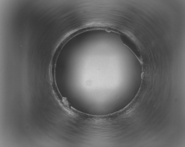 X0000073971030200609051840