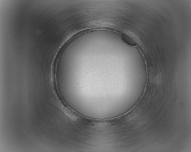 X0000073971031200609051840