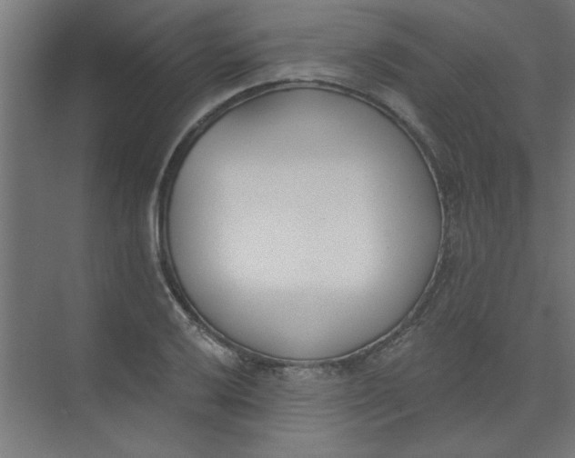 X0000073971032200609051840