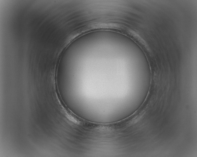 X0000073971033200609051840