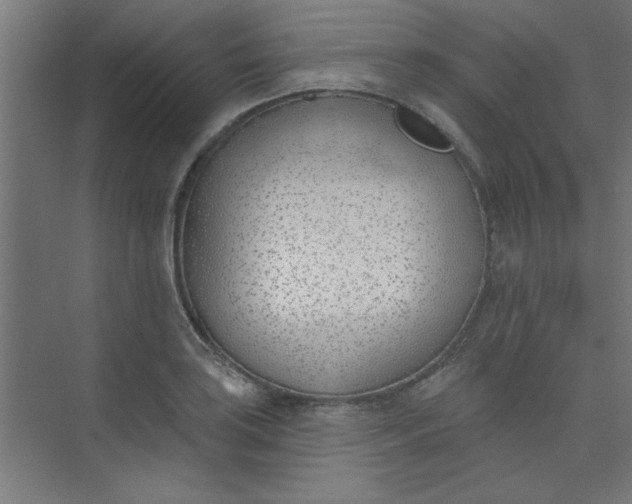 X0000073971035200609051840