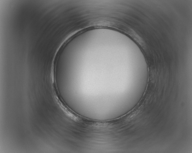 X0000073971036200609051840