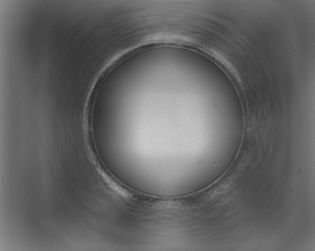 X0000073971037200609051840