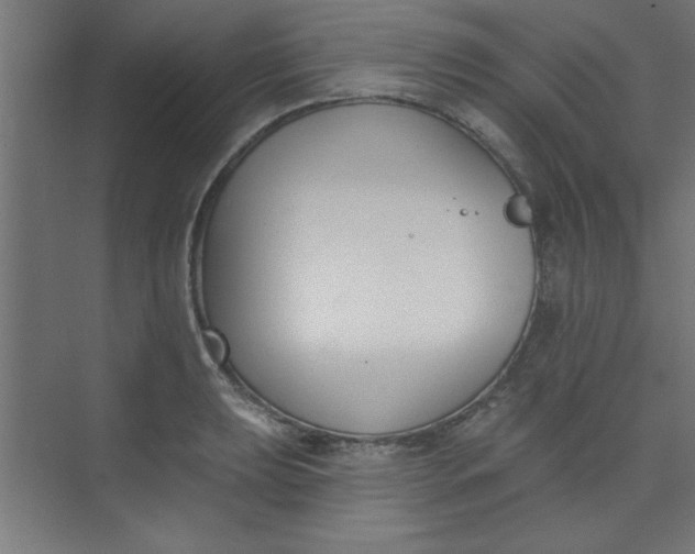 X0000073971039200609051840