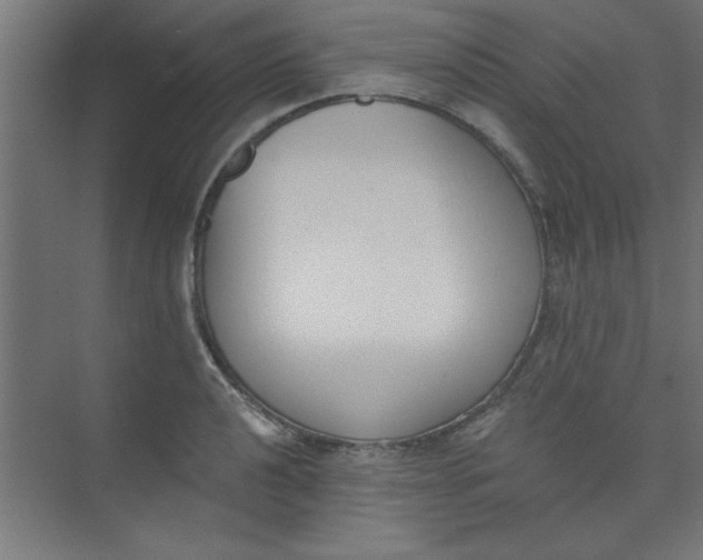 X0000073971040200609051840