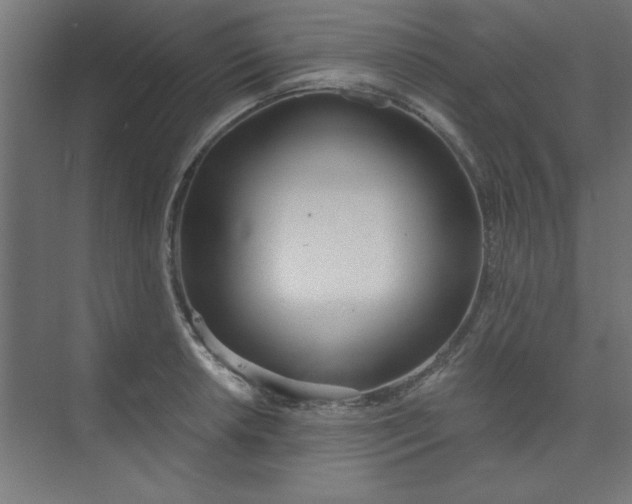 X0000073971042200609051840