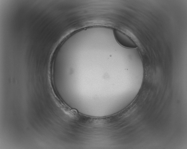 X0000073971043200609051840