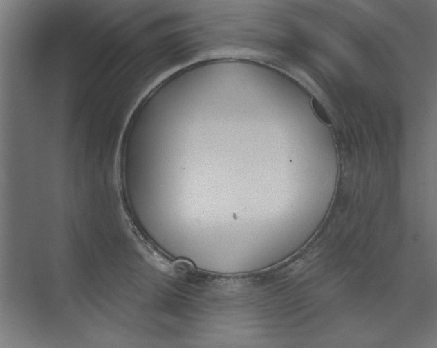 X0000073971044200609051840