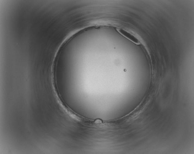 X0000073971045200609051840