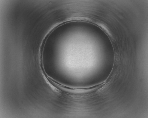 X0000073971046200609051840