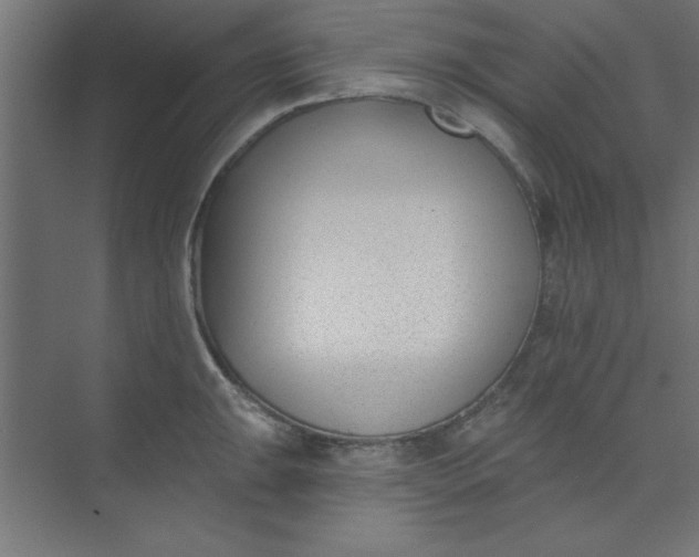 X0000073971047200609051840