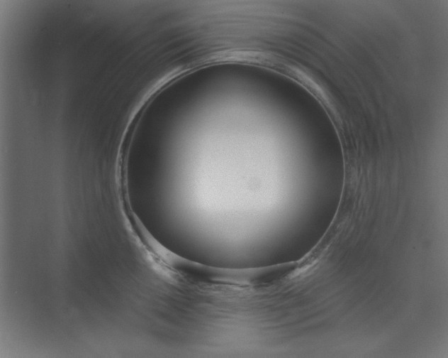 X0000073971050200609051840