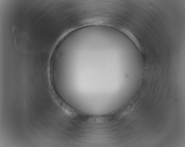 X0000073971051200609051840