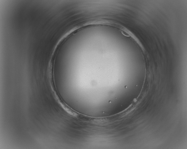 X0000073971053200609051840