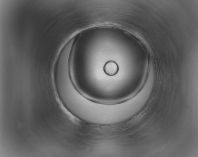 X0000073971054200609051840