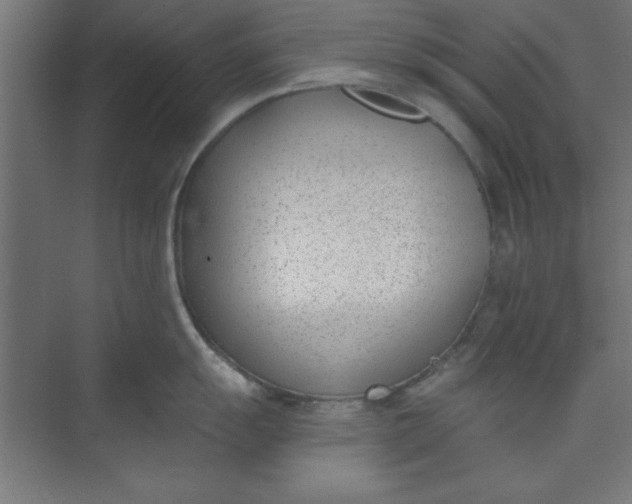 X0000073971055200609051840