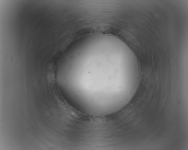 X0000073971058200609051839