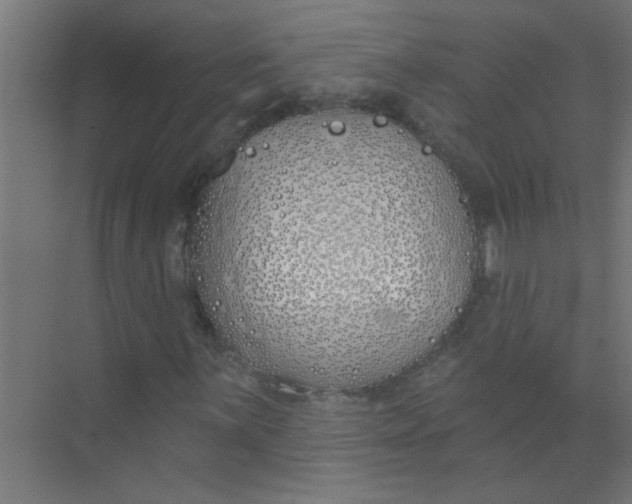 X0000073971059200609051839