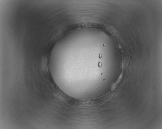 X0000073971060200609051839