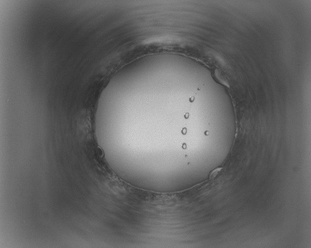 X0000073971062200609051839