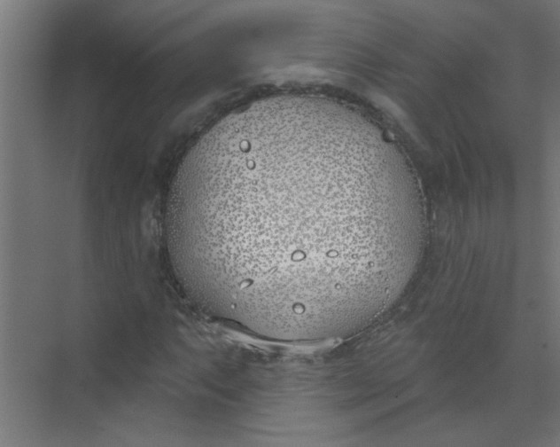 X0000073971063200609051839