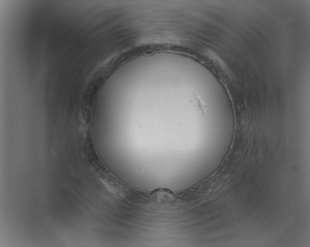 X0000073971064200609051839