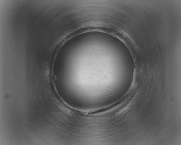 X0000073971065200609051839