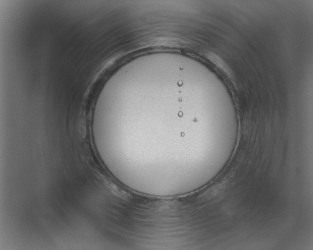 X0000073971067200609051839