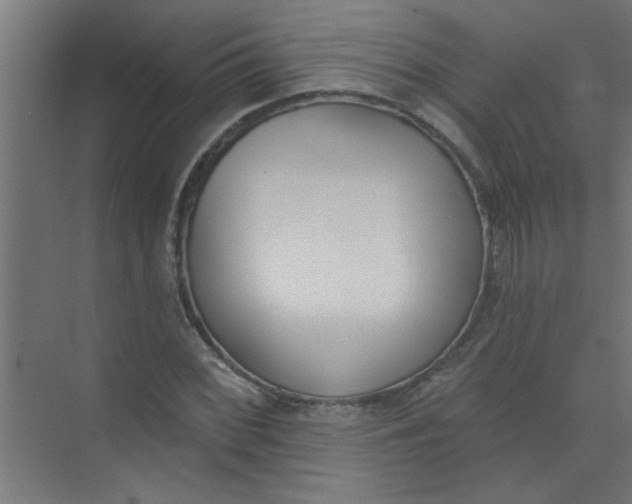 X0000073971068200609051839