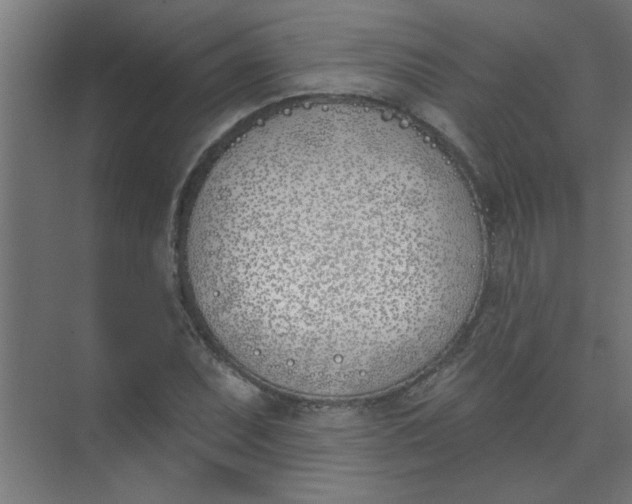 X0000073971071200609051839