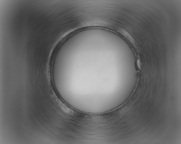 X0000073971072200609051839