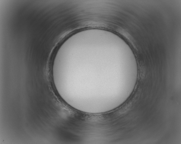 X0000073971074200609051839