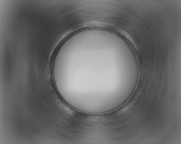 X0000073971075200609051839