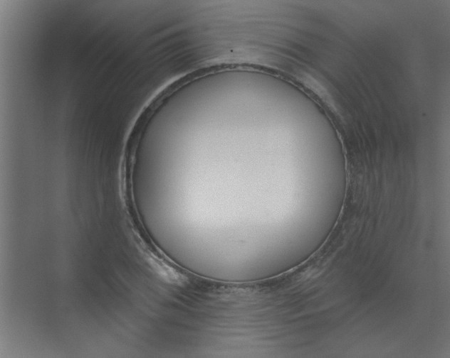 X0000073971076200609051839