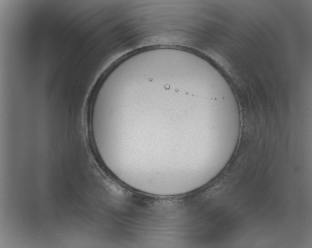 X0000073971078200609051839