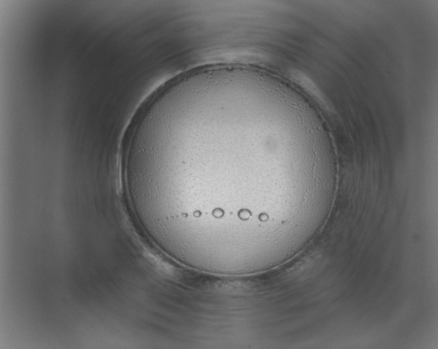 X0000073971079200609051839